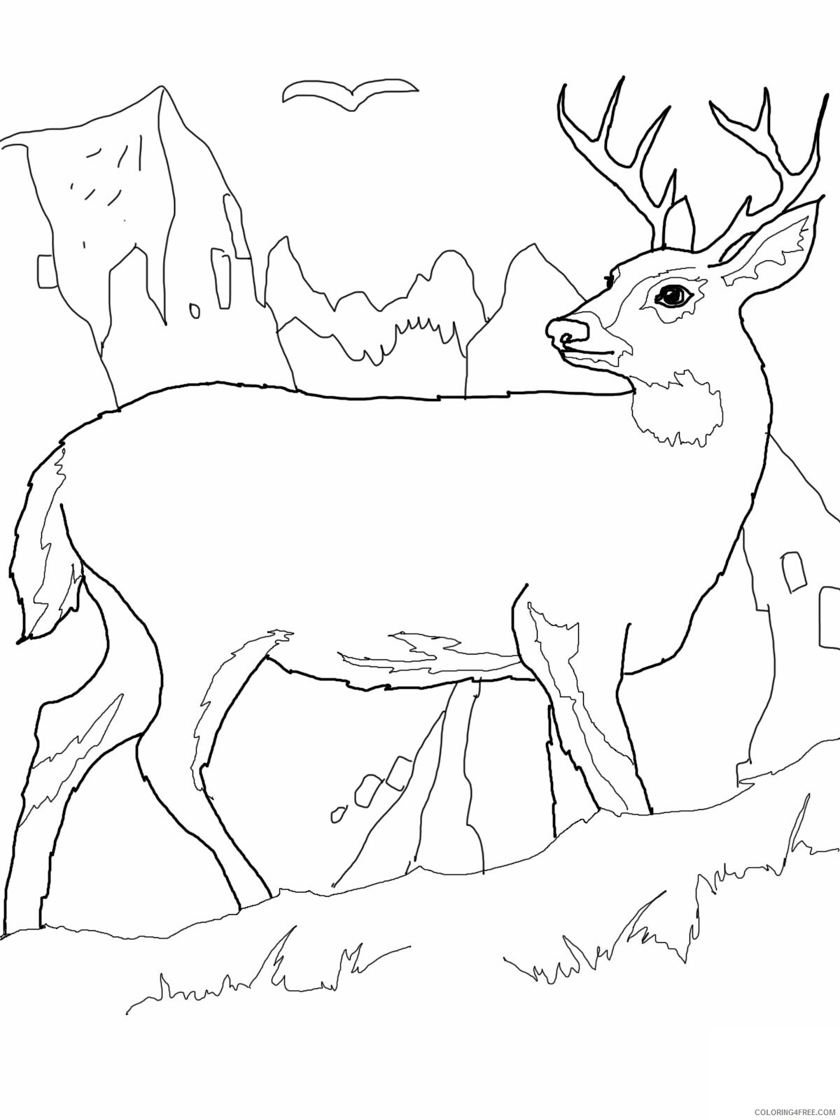 Deer Coloring Pages Animal Printable Sheets Deer Pictures 2021 1435 Coloring4free
