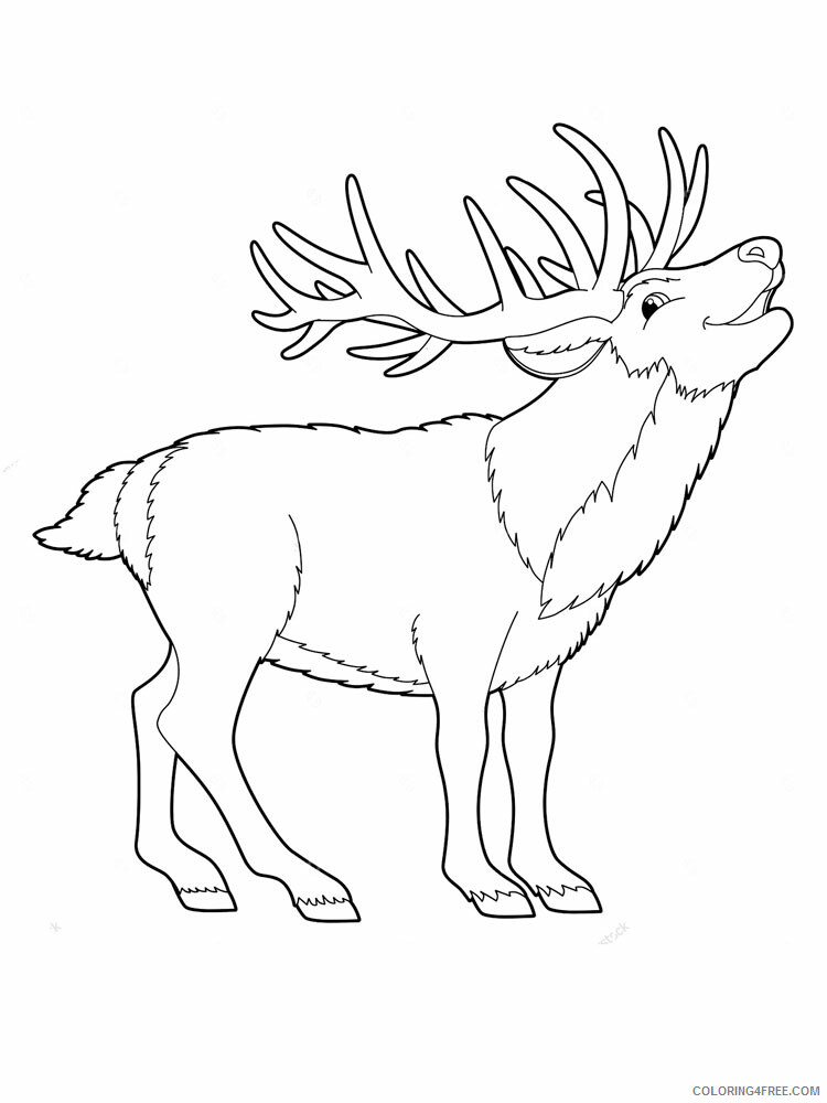 Deer Coloring Pages Animal Printable Sheets Deer animal 339 2021 1425 Coloring4free