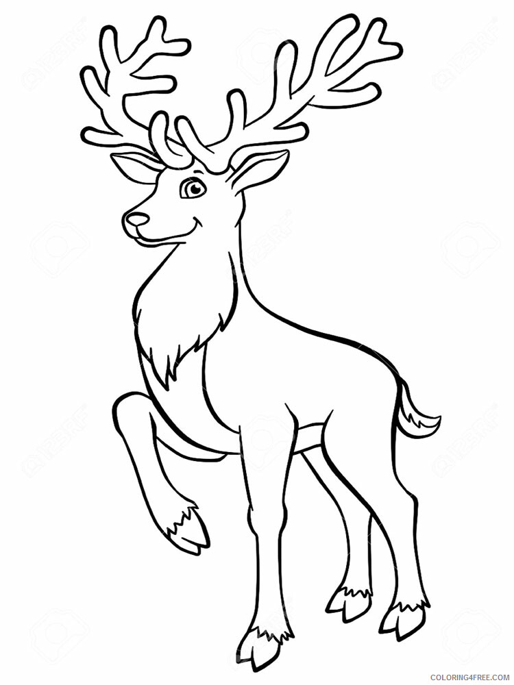 Deer Coloring Pages Animal Printable Sheets Deer animal 342 2021 1426 Coloring4free
