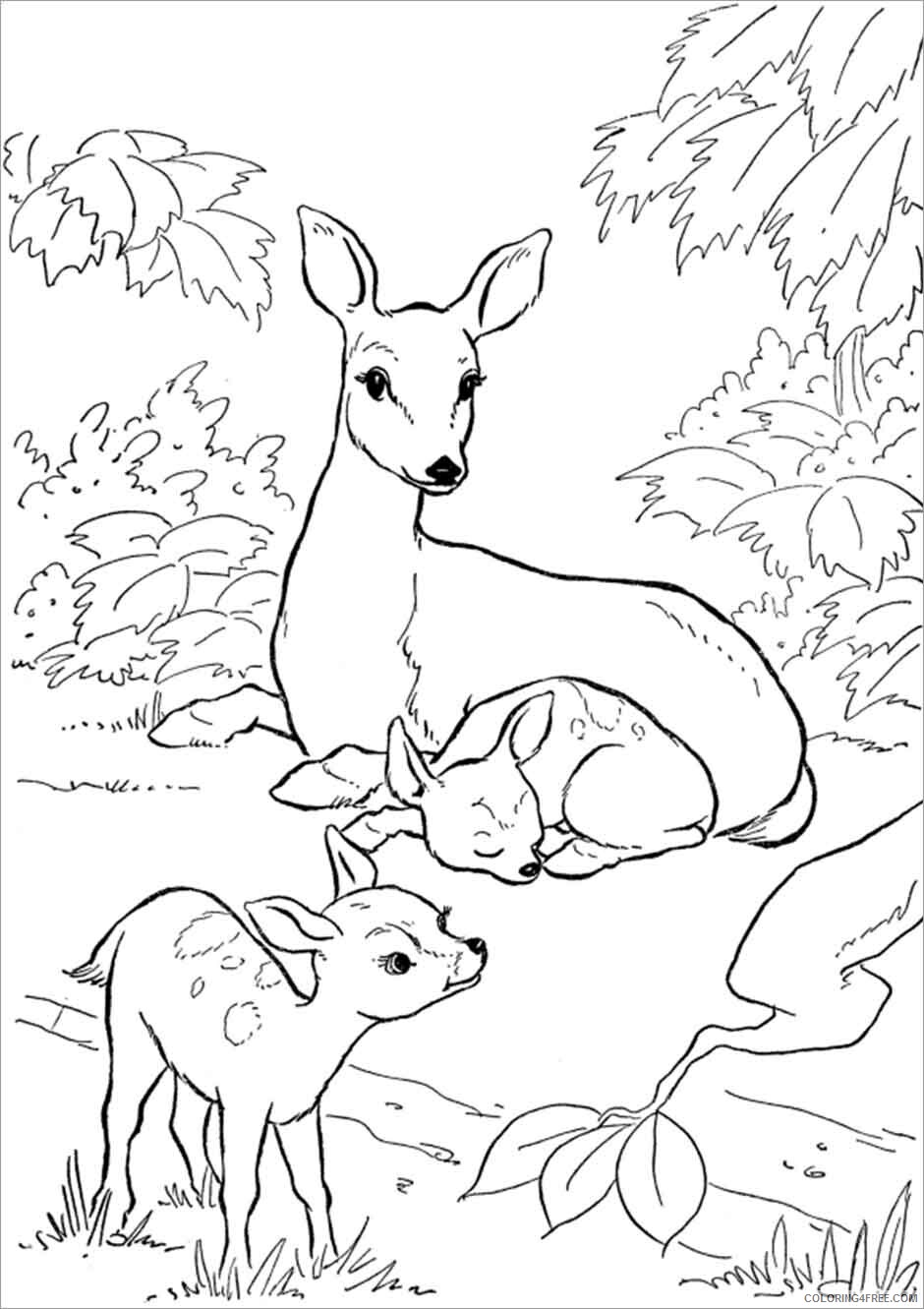 Deer Coloring Pages Animal Printable Sheets Moms and Baby Deer 2021 1449 Coloring4free