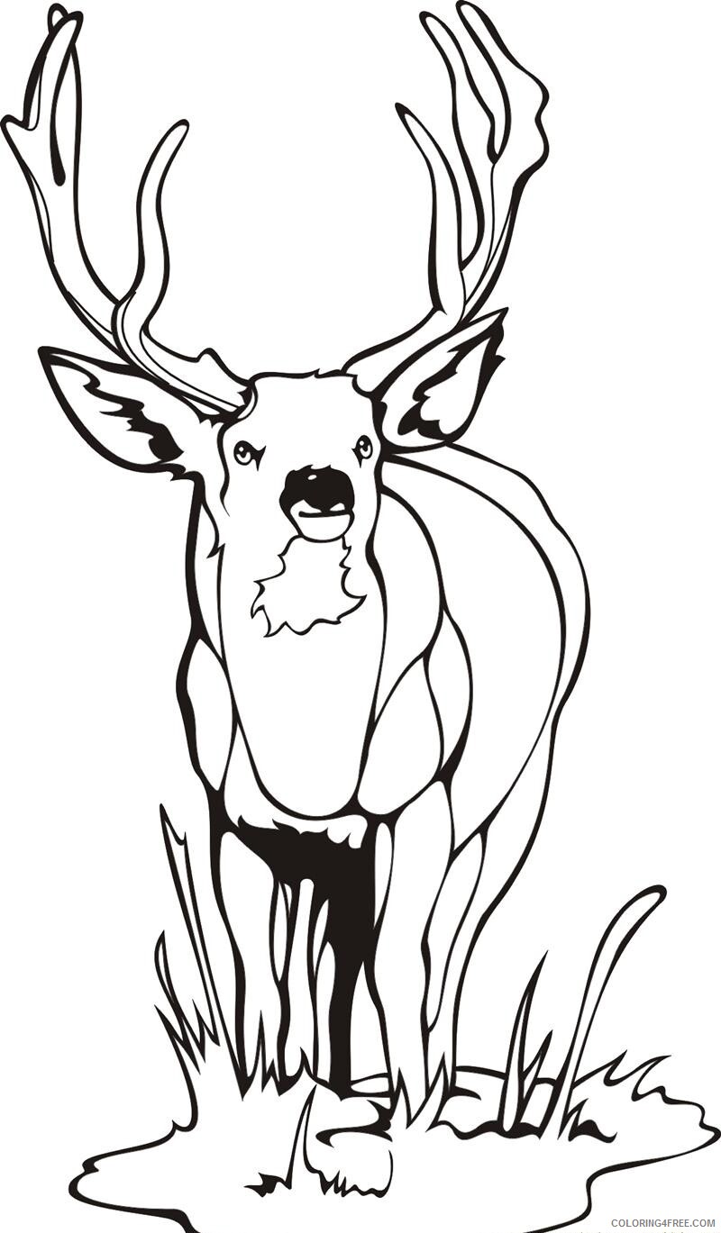 Deer Coloring Pages Animal Printable Sheets Printable Deer 2021 1451 Coloring4free