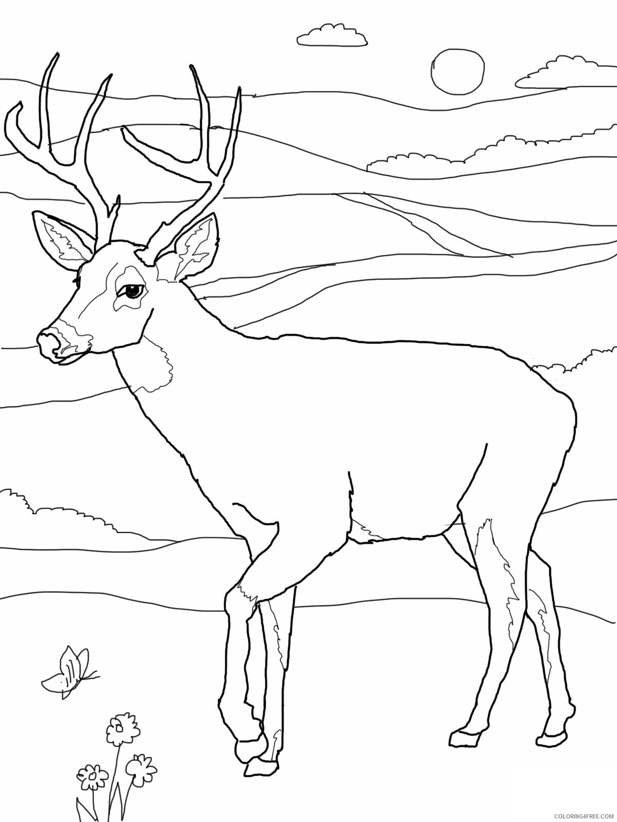 Deer Coloring Pages Animal Printable Sheets Whitetail Deer 2021 1452 Coloring4free