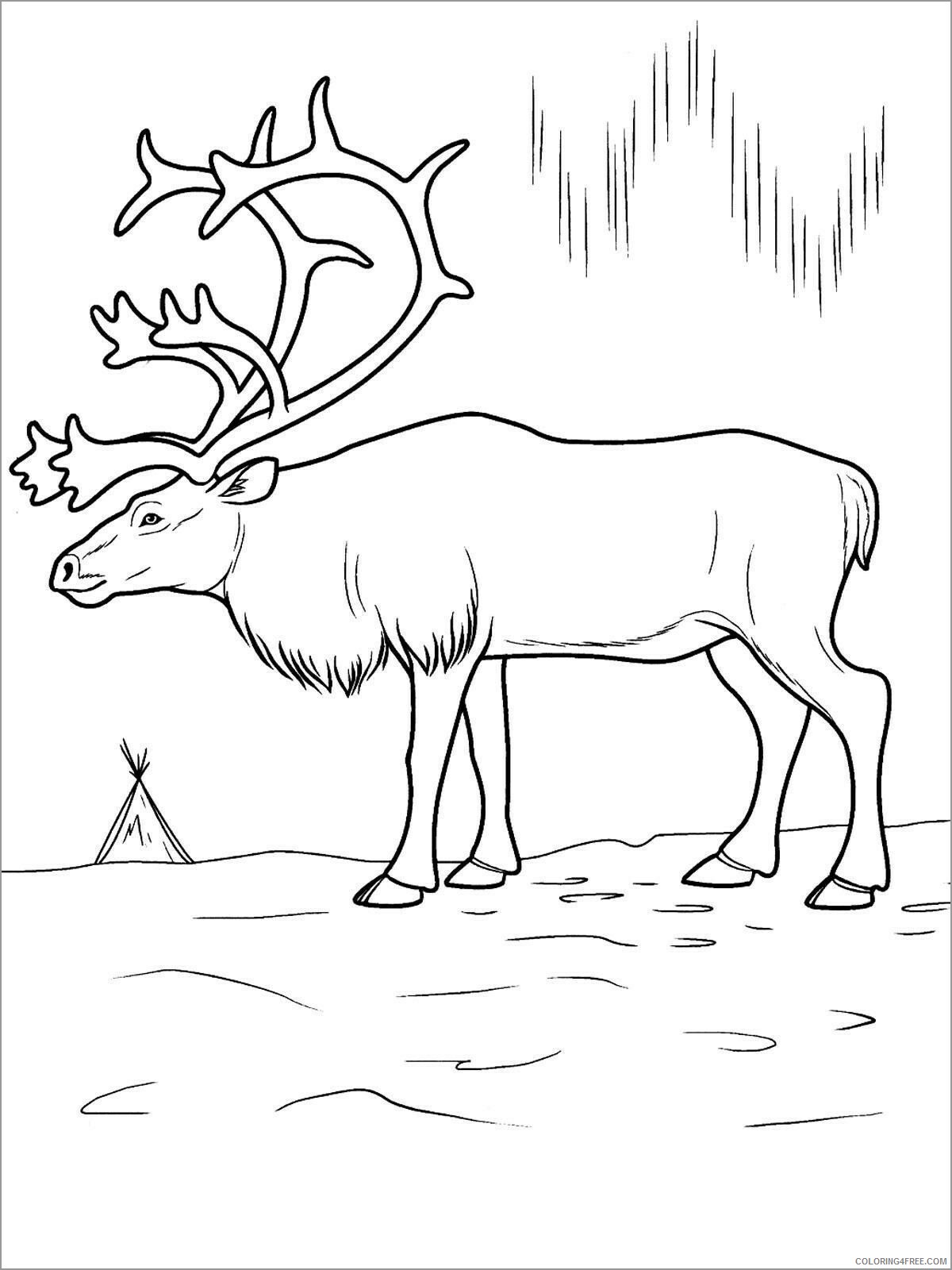 Deer Coloring Pages Animal Printable Sheets arctic deer 2021 1414 Coloring4free