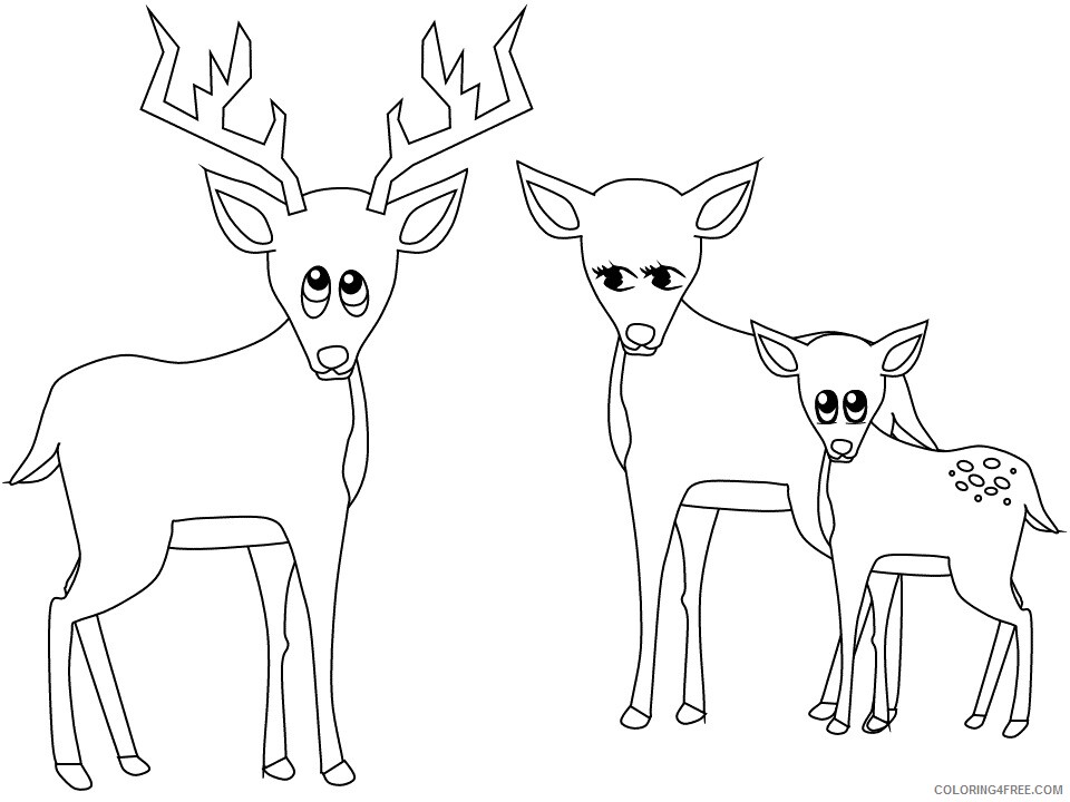 Deer Coloring Pages Animal Printable Sheets deer 2021 1419 Coloring4free