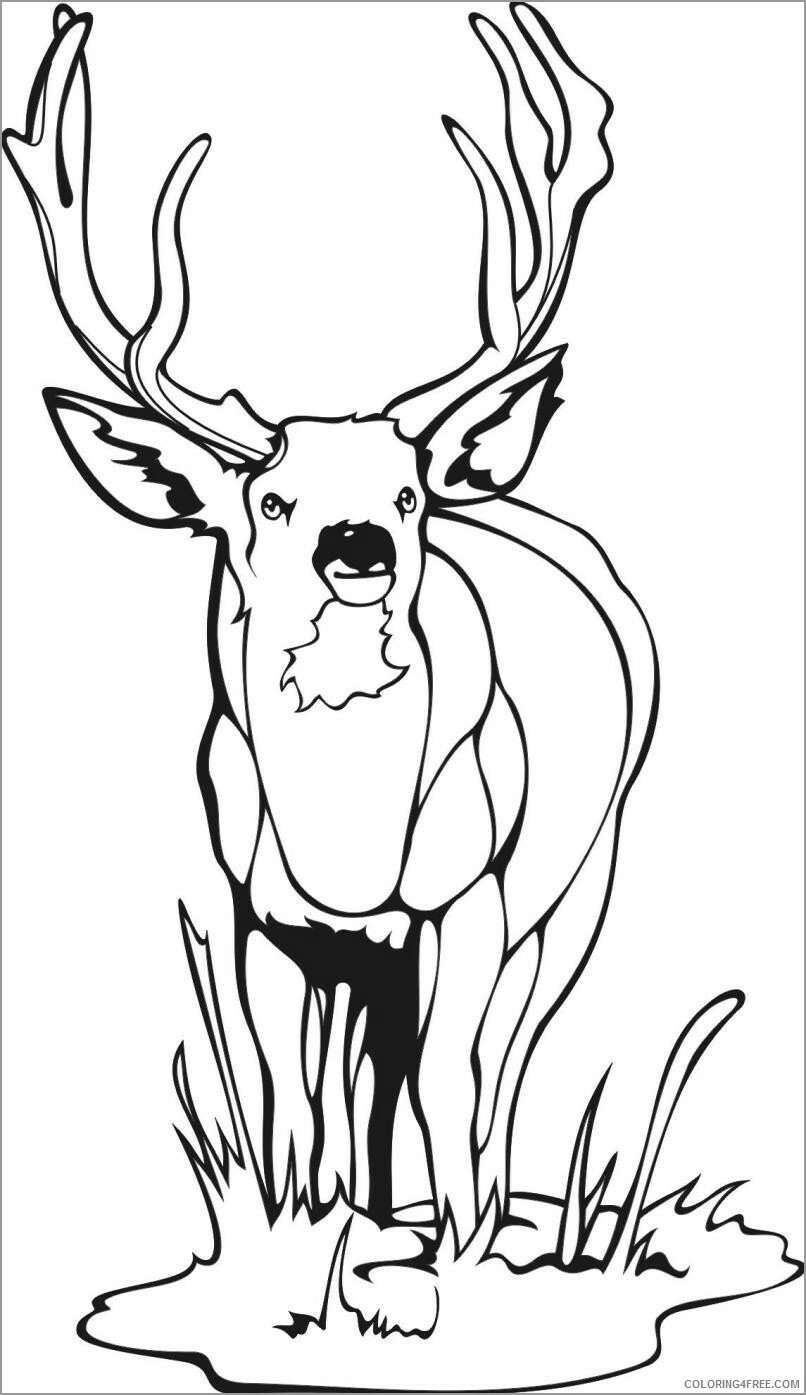 Deer Coloring Pages Animal Printable Sheets easy deer 2021 1448 Coloring4free
