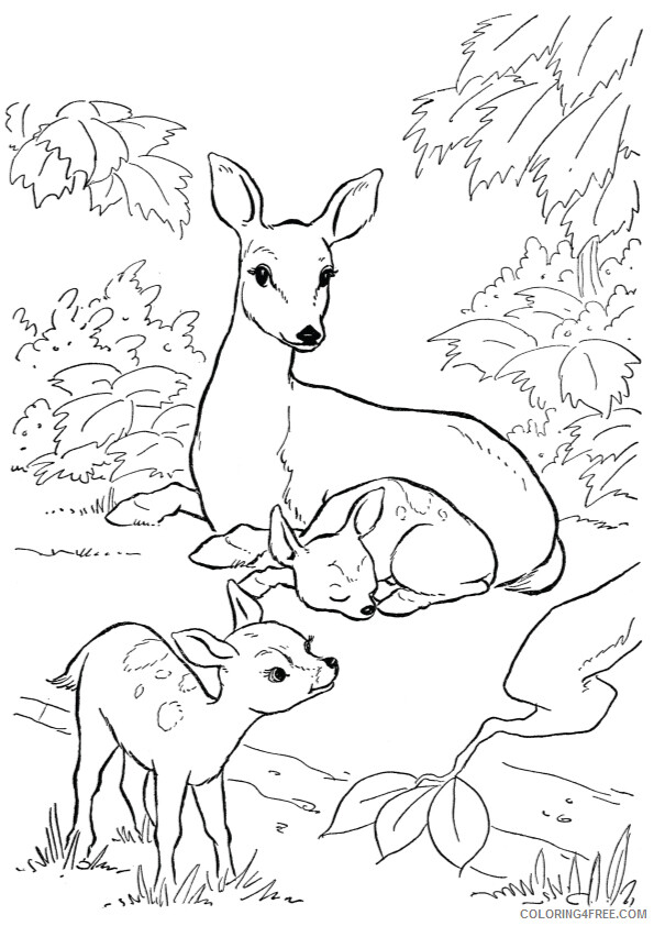 Deer Coloring Sheets Animal Coloring Pages Printable 2021 1064 Coloring4free