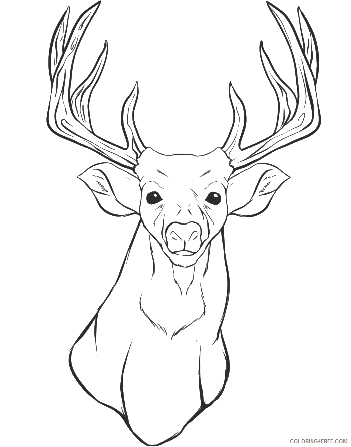 Deer Coloring Sheets Animal Coloring Pages Printable 2021 1065 Coloring4free