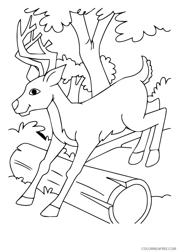 Deer Coloring Sheets Animal Coloring Pages Printable 2021 1066 Coloring4free