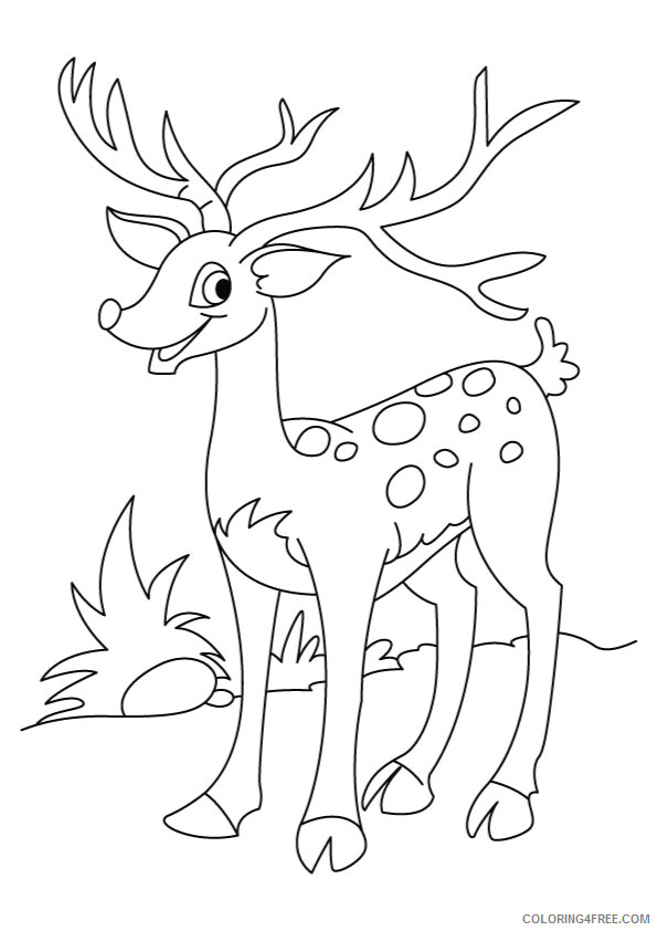 Deer Coloring Sheets Animal Coloring Pages Printable 2021 1070 Coloring4free