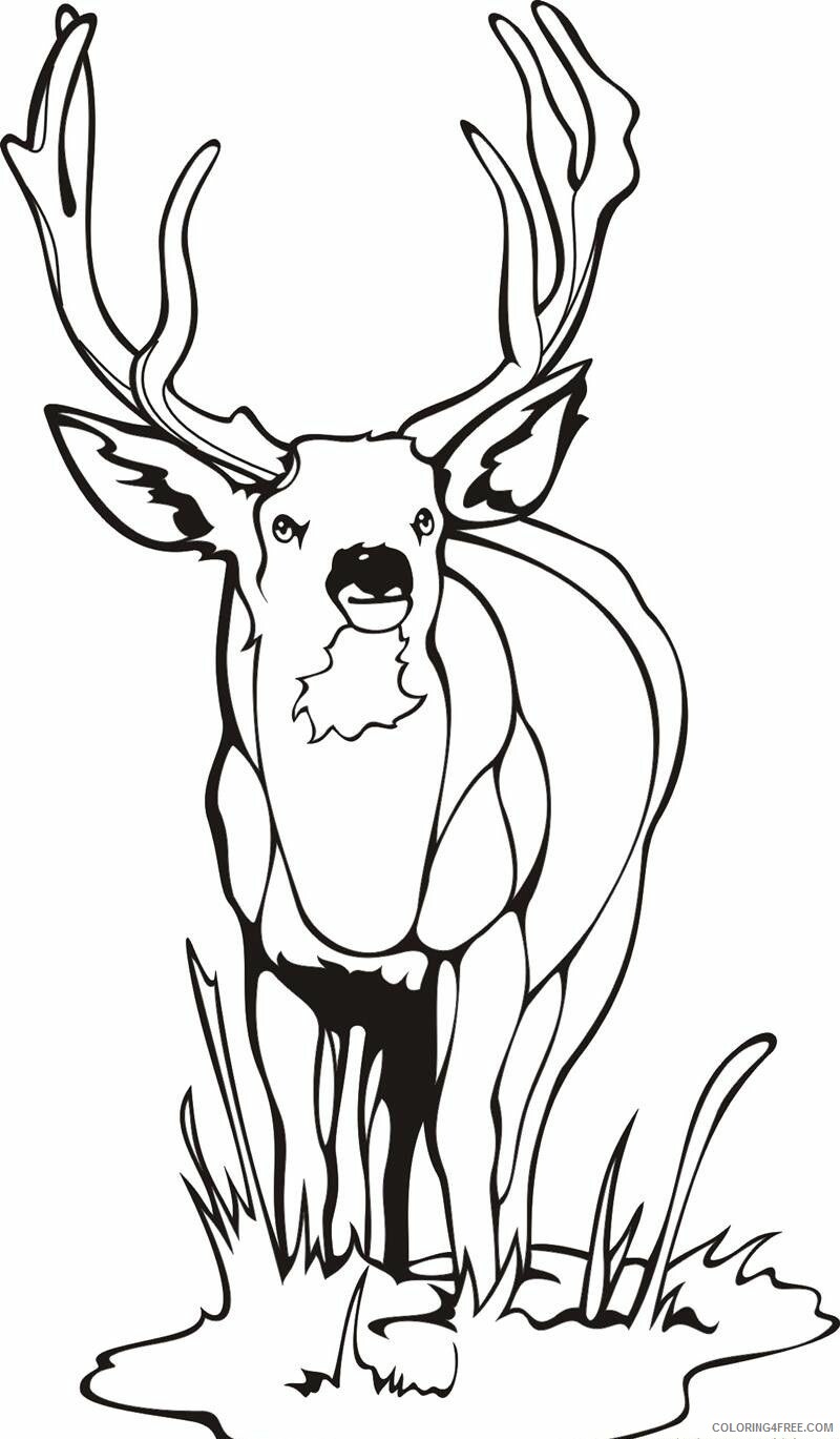 Deer Coloring Sheets Animal Coloring Pages Printable 2021 1072 Coloring4free