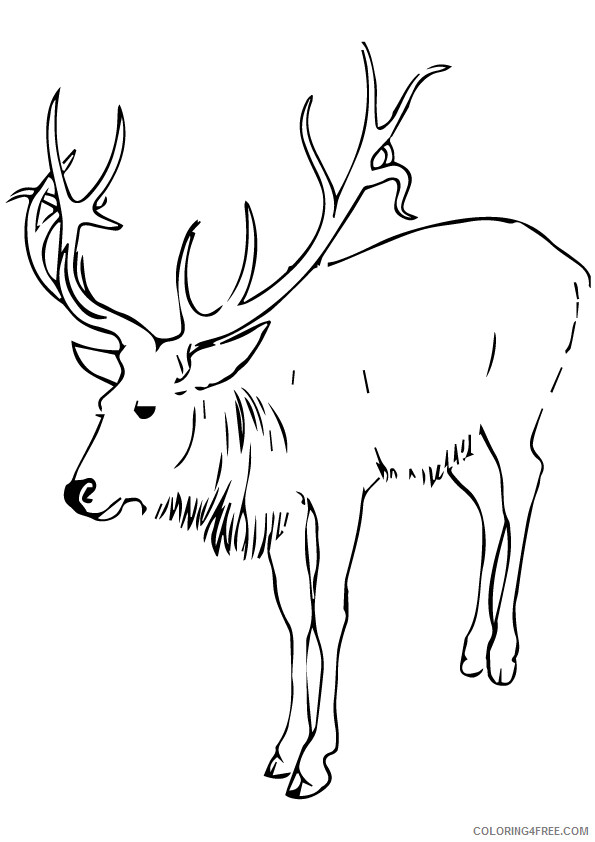 Deer Coloring Sheets Animal Coloring Pages Printable 2021 1076 Coloring4free