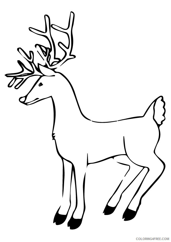 Deer Coloring Sheets Animal Coloring Pages Printable 2021 1079 Coloring4free