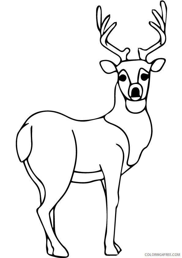 Deer Coloring Sheets Animal Coloring Pages Printable 2021 1081 Coloring4free