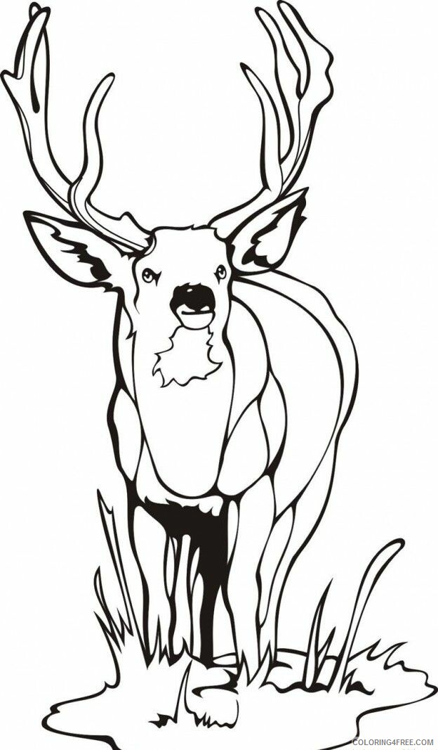 Deer Coloring Sheets Animal Coloring Pages Printable 2021 1082 Coloring4free