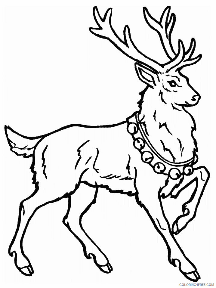 Deer Coloring Sheets Animal Coloring Pages Printable 2021 1085 Coloring4free