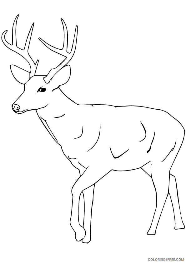 Deer Coloring Sheets Animal Coloring Pages Printable 2021 1086 Coloring4free