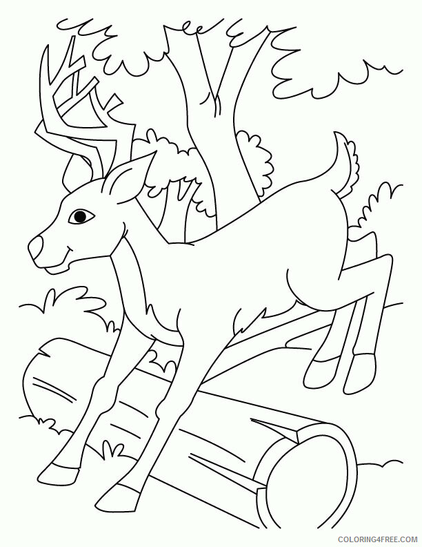 Deer Coloring Sheets Animal Coloring Pages Printable 2021 1089 Coloring4free