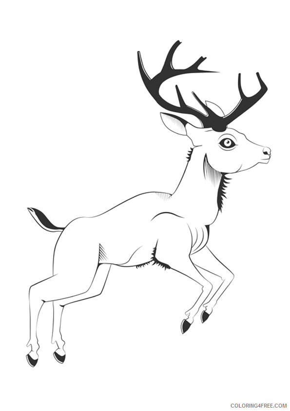 Deer Coloring Sheets Animal Coloring Pages Printable 2021 1093 Coloring4free