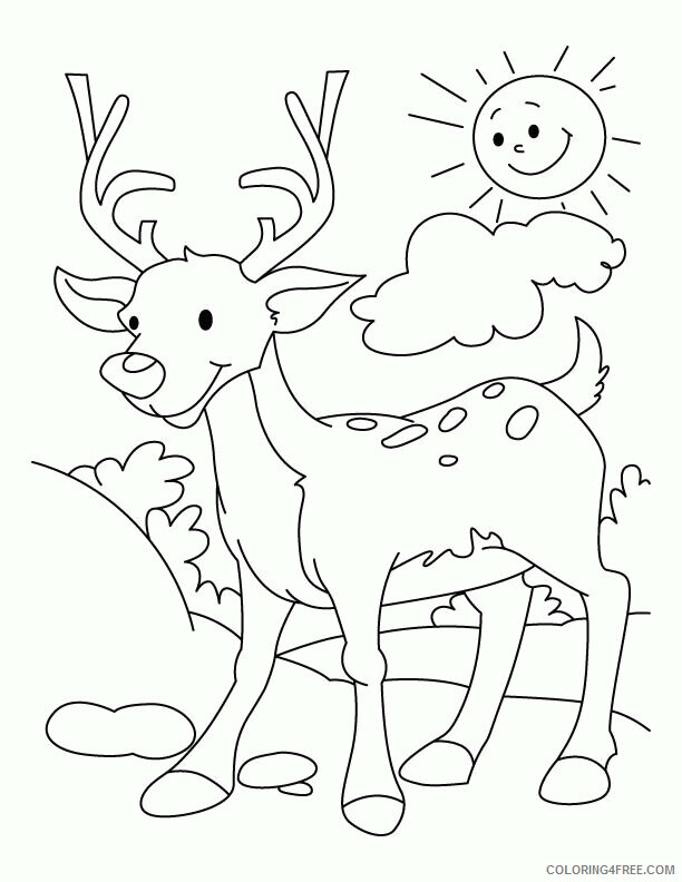 Deer Coloring Sheets Animal Coloring Pages Printable 2021 1095 Coloring4free