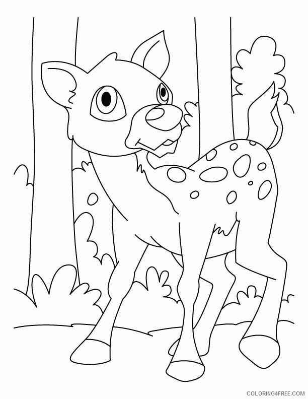 Deer Coloring Sheets Animal Coloring Pages Printable 2021 1097 Coloring4free