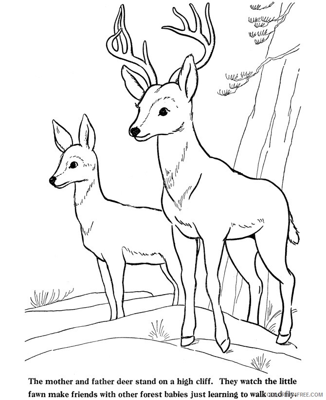 Deer Coloring Sheets Animal Coloring Pages Printable 2021 1103 Coloring4free