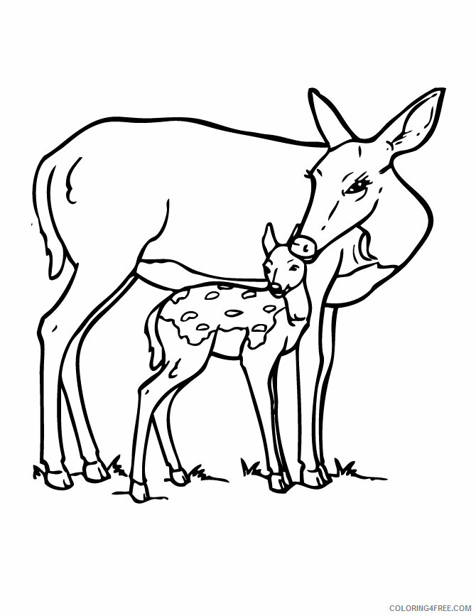 Deer Coloring Sheets Animal Coloring Pages Printable 2021 1111 Coloring4free