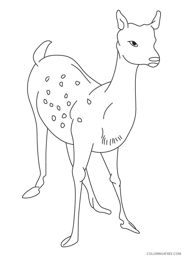 Deer Coloring Sheets Animal Coloring Pages Printable 2021 1112 Coloring4free