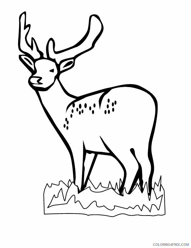 Deer Coloring Sheets Animal Coloring Pages Printable 2021 1114 Coloring4free