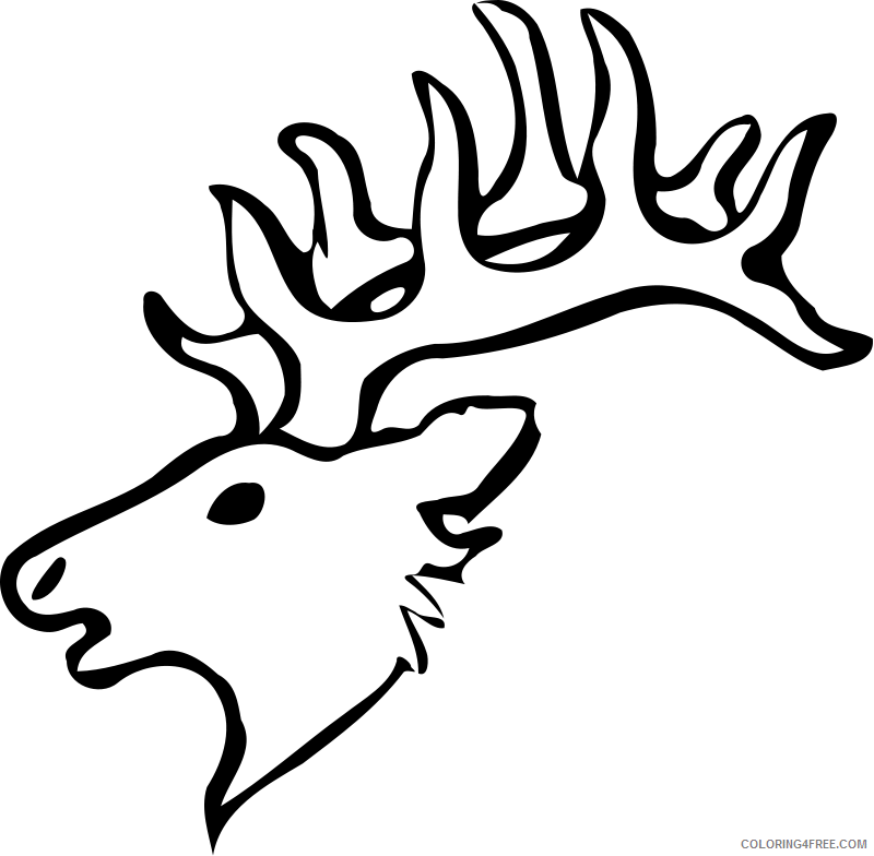 Deer Head Coloring Pages Animal Printable Sheets Deer Head 2021 1454 Coloring4free