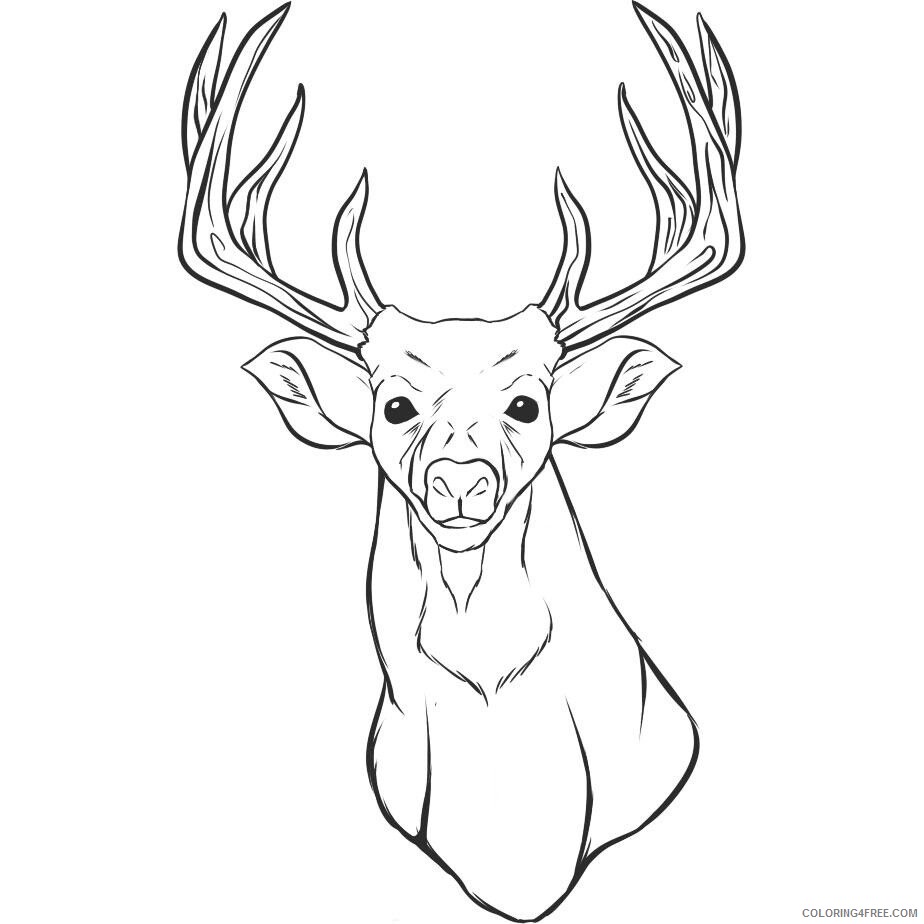 Deer Head Coloring Pages Animal Printable Sheets Deer Head 2021 1455 Coloring4free