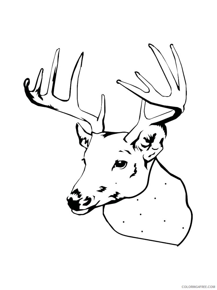Deer Head Coloring Pages Animal Printable Sheets deer head 12 2021 1458 Coloring4free