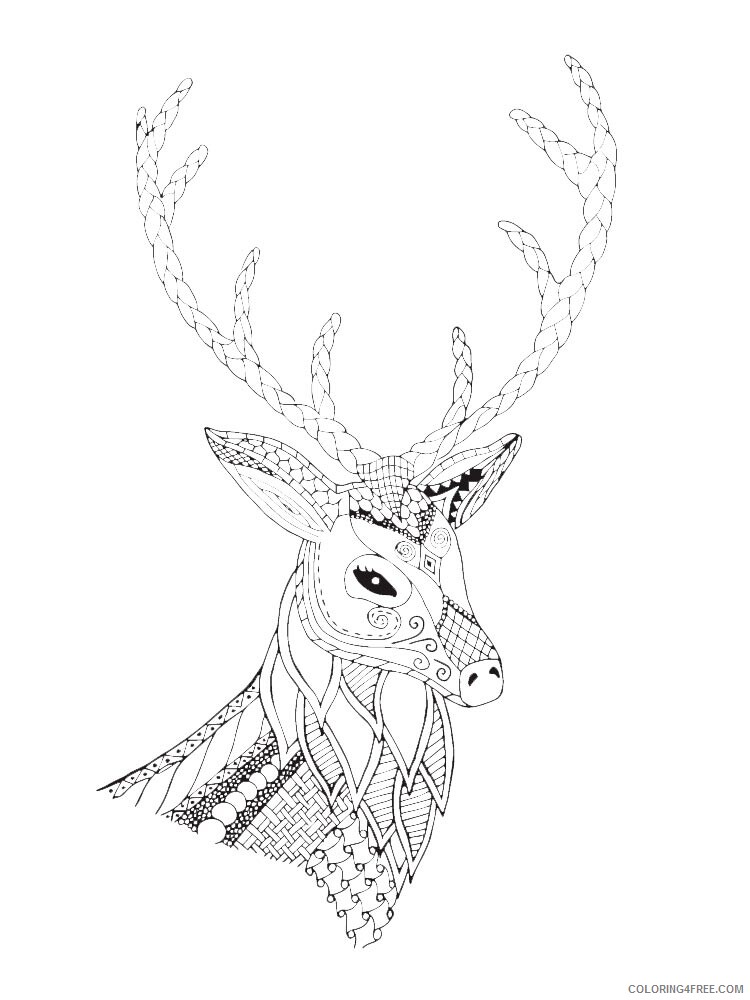 Deer Head Coloring Pages Animal Printable Sheets deer head 14 2021 1460 Coloring4free