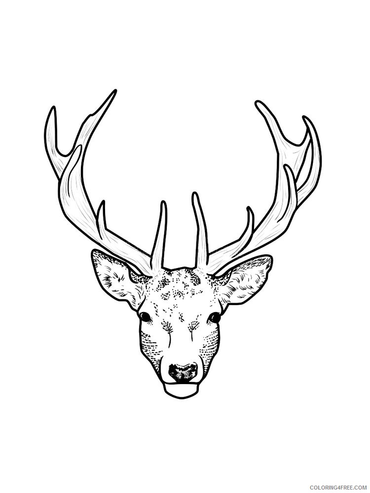 Deer Head Coloring Pages Animal Printable Sheets deer head 17 2021 1463 Coloring4free