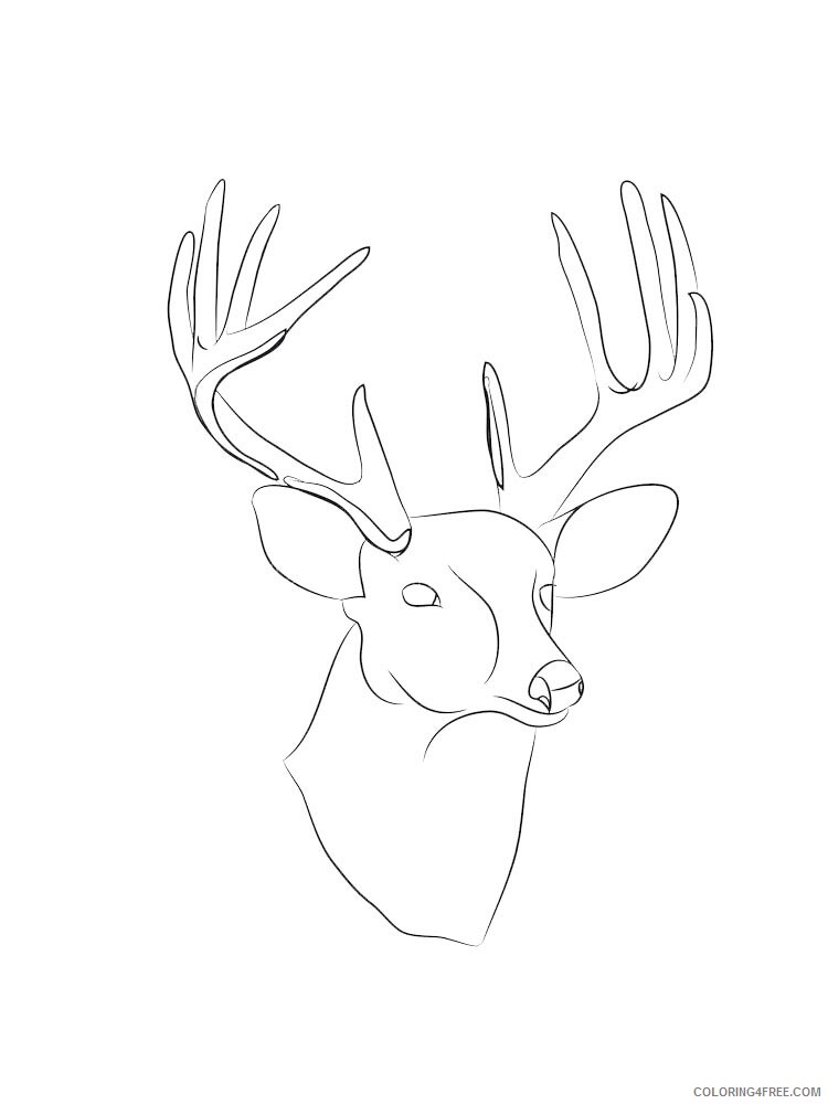 Deer Head Coloring Pages Animal Printable Sheets deer head 18 2021 1464 Coloring4free