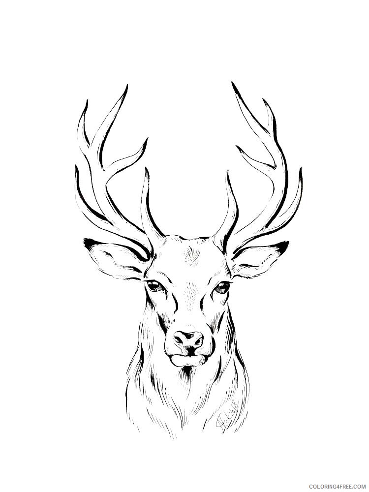 Deer Head Coloring Pages Animal Printable Sheets Deer Head 2 2021 1466 Coloring4free Coloring4free Com