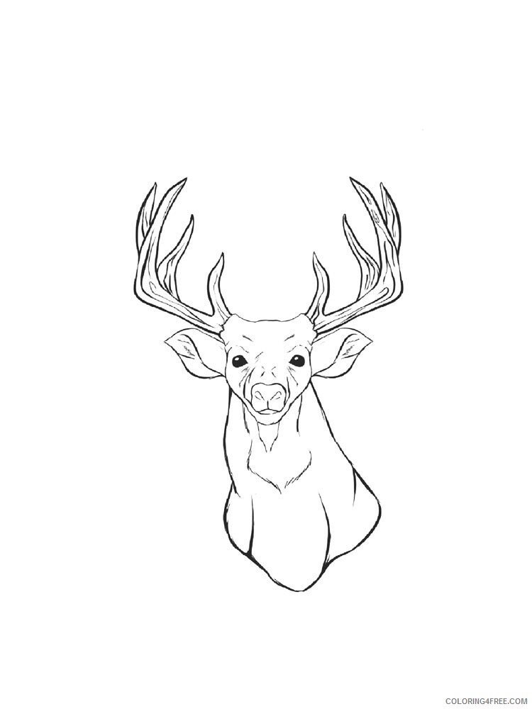 Deer Head Coloring Pages Animal Printable Sheets deer head 5 2021 1468 Coloring4free
