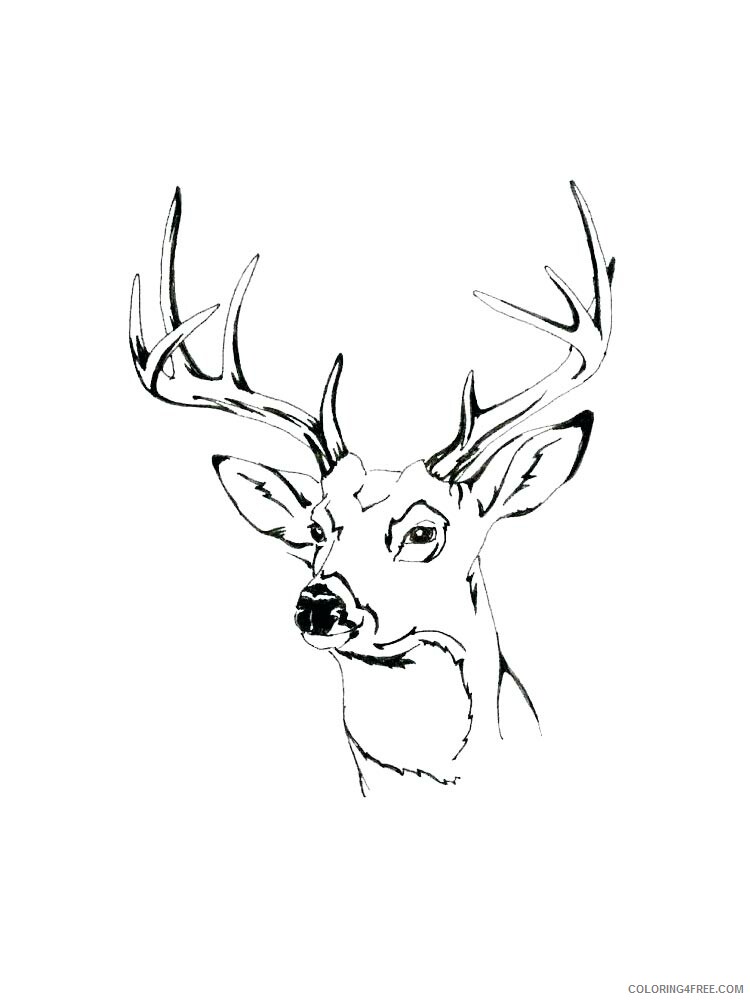 Deer Head Coloring Pages Animal Printable Sheets deer head 7 2021 1469 Coloring4free