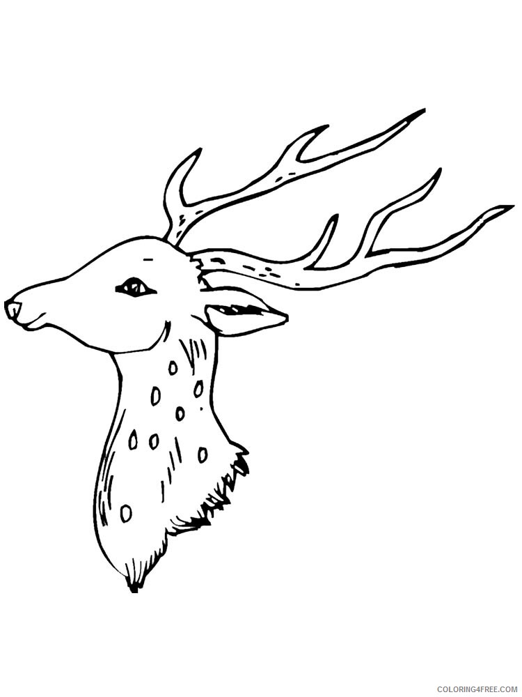 Deer Head Coloring Pages Animal Printable Sheets deer head 9 2021 1471 Coloring4free