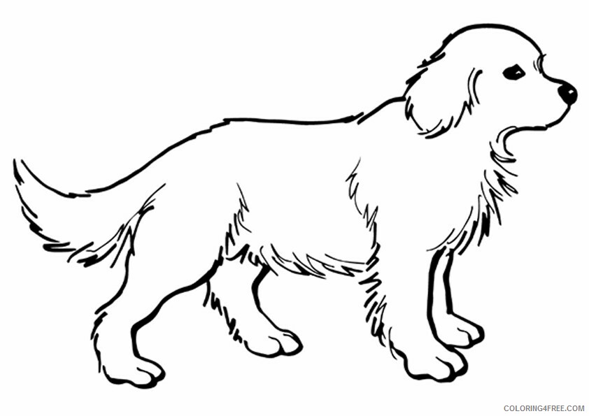 Dog Coloring Sheets Animal Coloring Pages Printable 2021 1245 Coloring4free