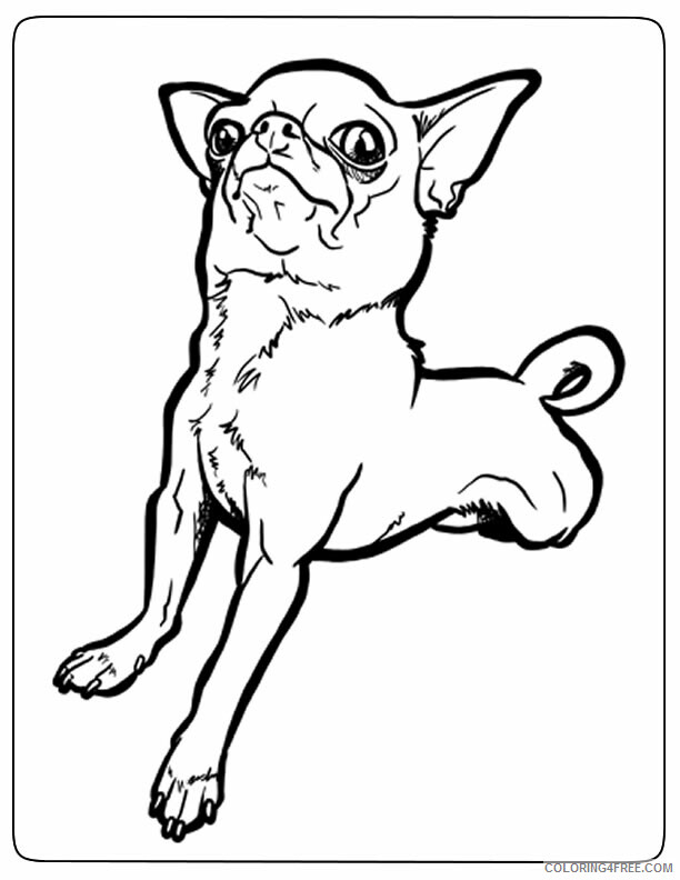 Dogs Coloring Pages Animal Printable Sheets Funny Chihuahua Dog 2021 1593 Coloring4free