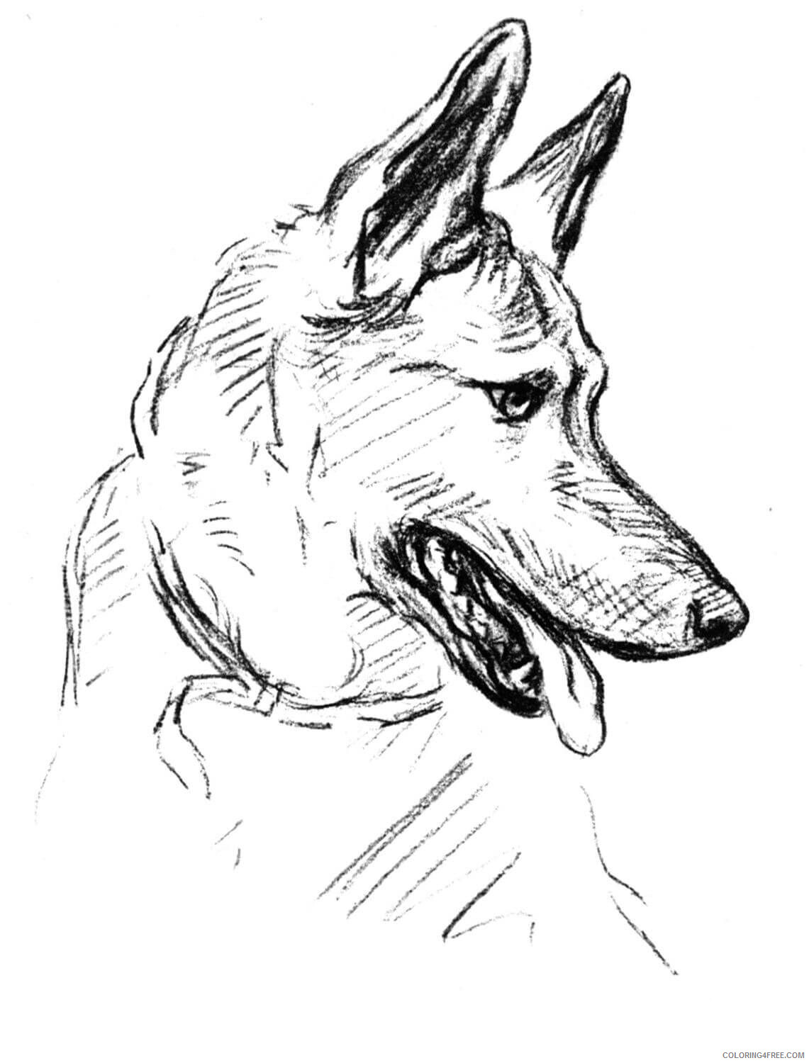 Dogs Coloring Pages Animal Printable Sheets German Shepherd Dog Drawing 2021 Coloring4free