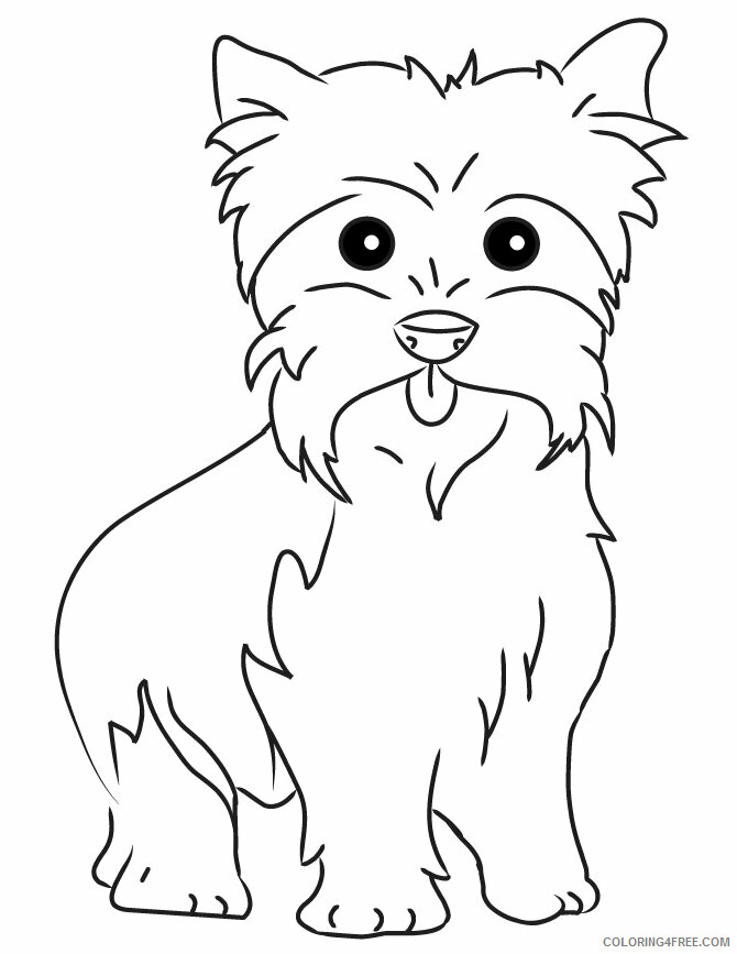 Dogs Coloring Pages Animal Printable Sheets Yorkie Dog 2021 1629 Coloring4free