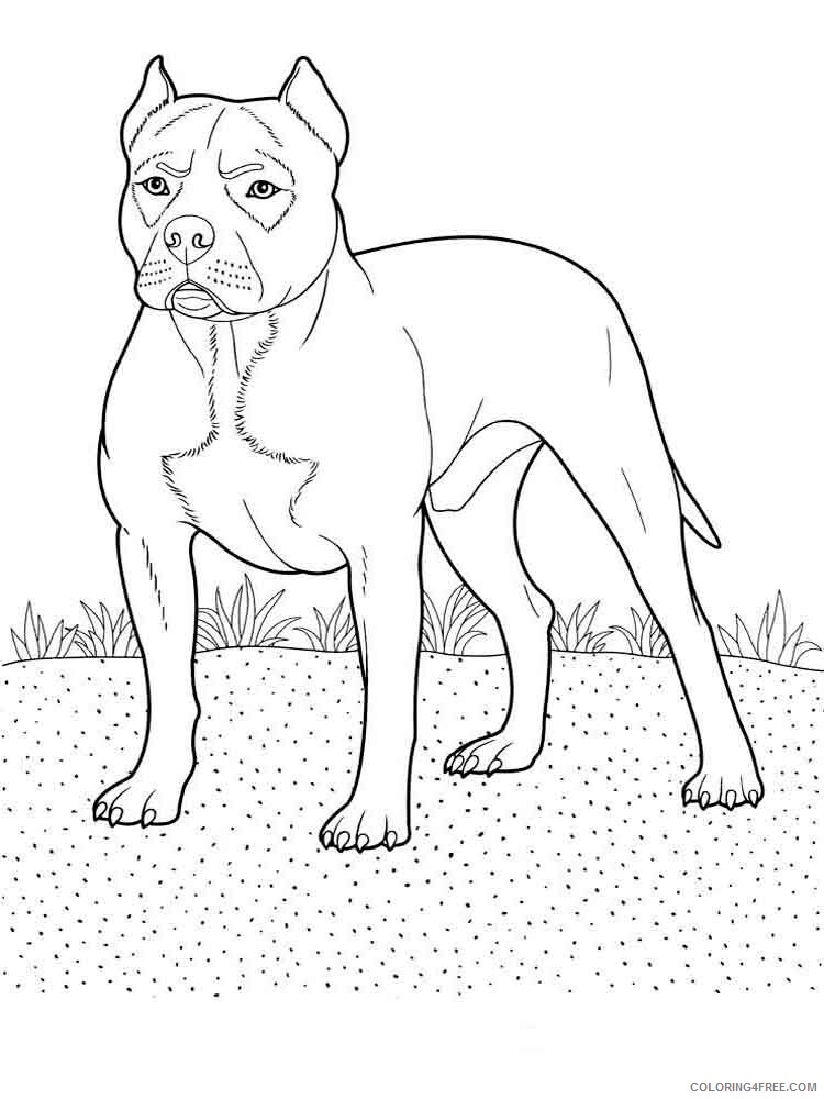 Dogs Coloring Pages Animal Printable Sheets animals dogs 3 2021 1524 Coloring4free