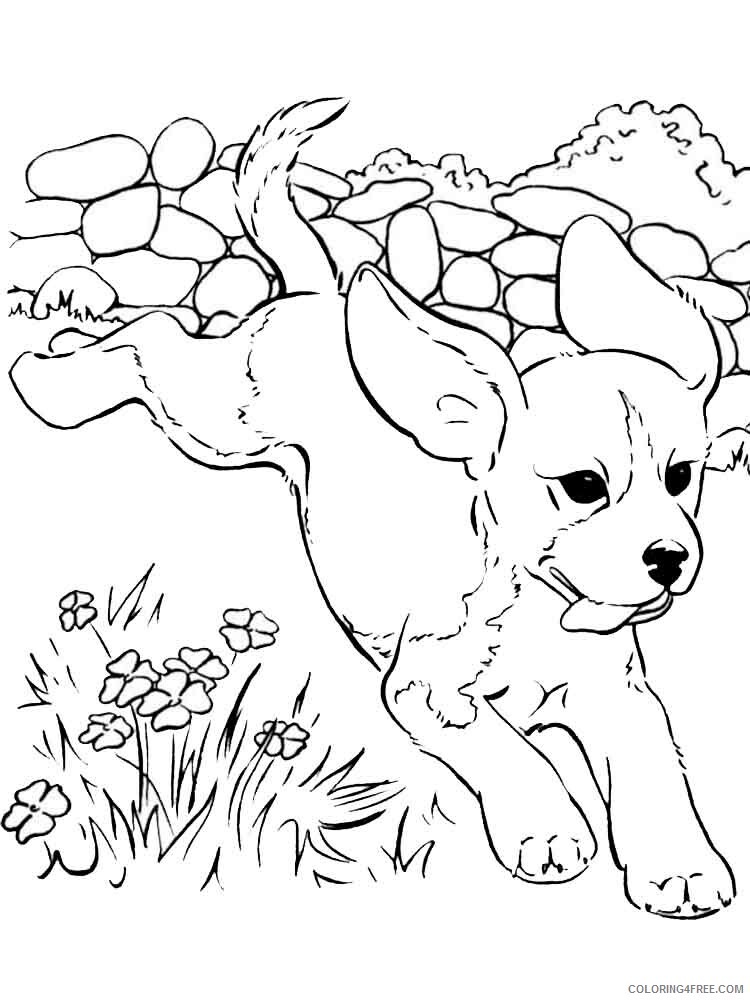 Dogs Coloring Pages Animal Printable Sheets animals dogs 34 2021 1528 Coloring4free