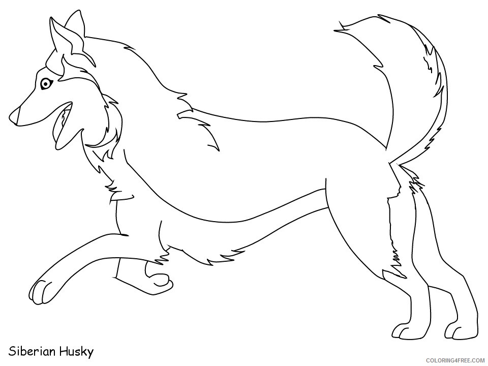 Dogs Coloring Pages Animal Printable Sheets husky 2021 1599 Coloring4free