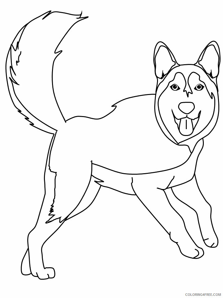 Dogs Coloring Pages Animal Printable Sheets husky 3 2021 1601 Coloring4free