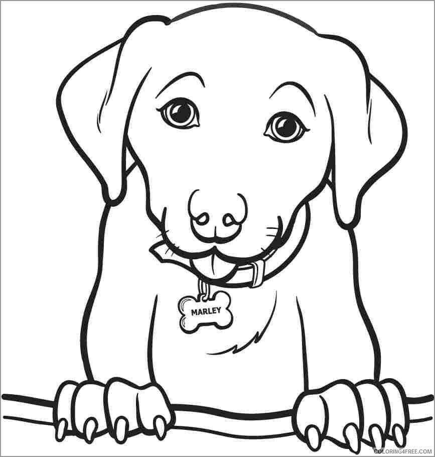 Dogs Coloring Pages Animal Printable Sheets labrador dog 2021 1604 Coloring4free