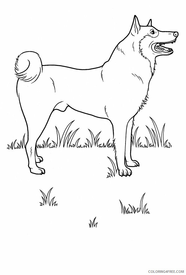 Dogs Coloring Pages Animal Printable Sheets of a Dog 2021 1536 Coloring4free