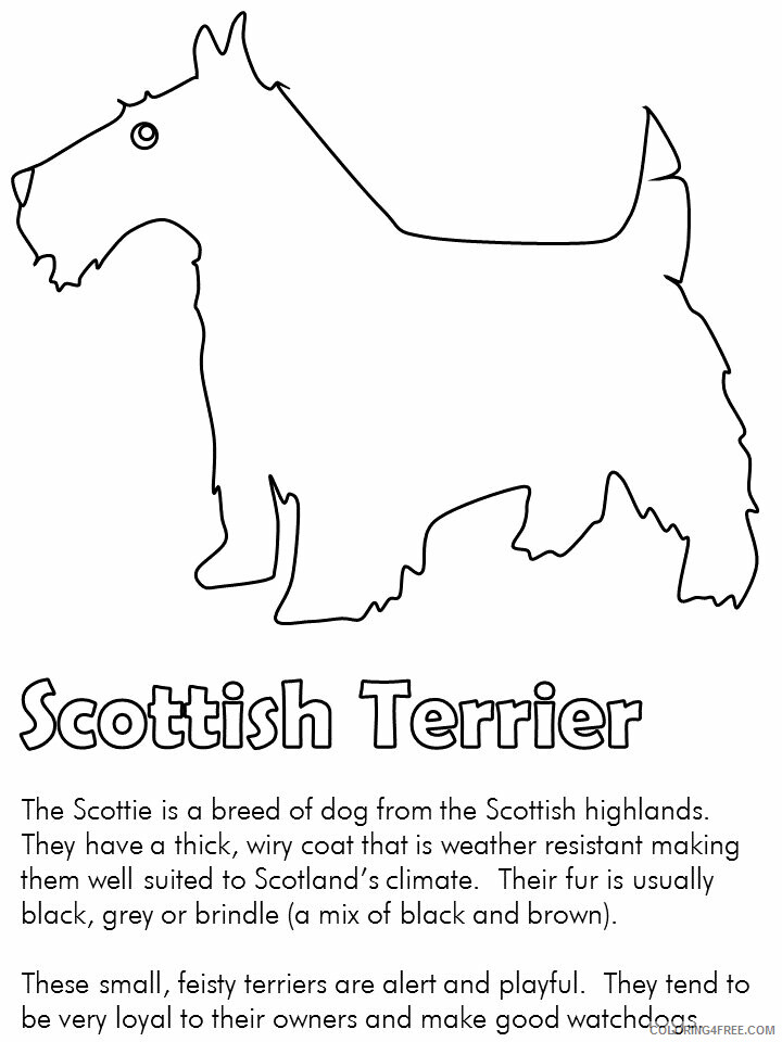 Dogs Coloring Pages Animal Printable Sheets scottie dog 2021 1622 Coloring4free