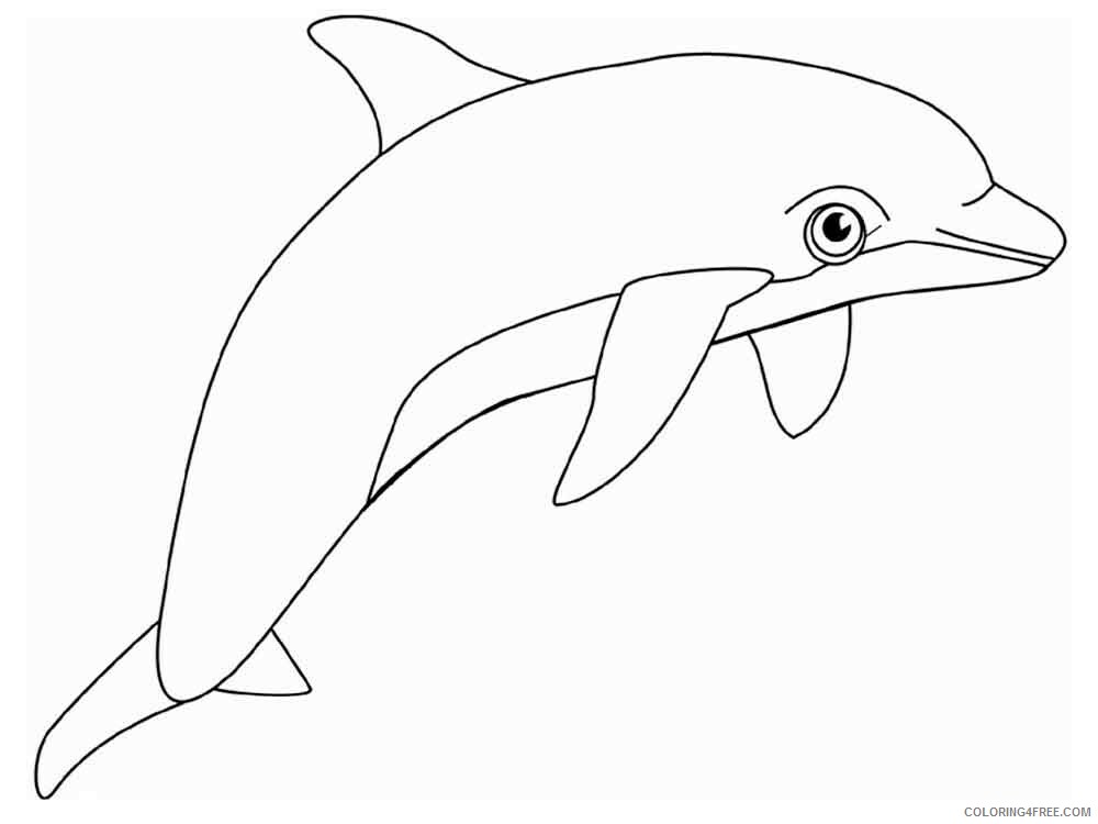 Dolphin Coloring Pages Animal Printable Sheets animals dolphin 8 2021 1643 Coloring4free